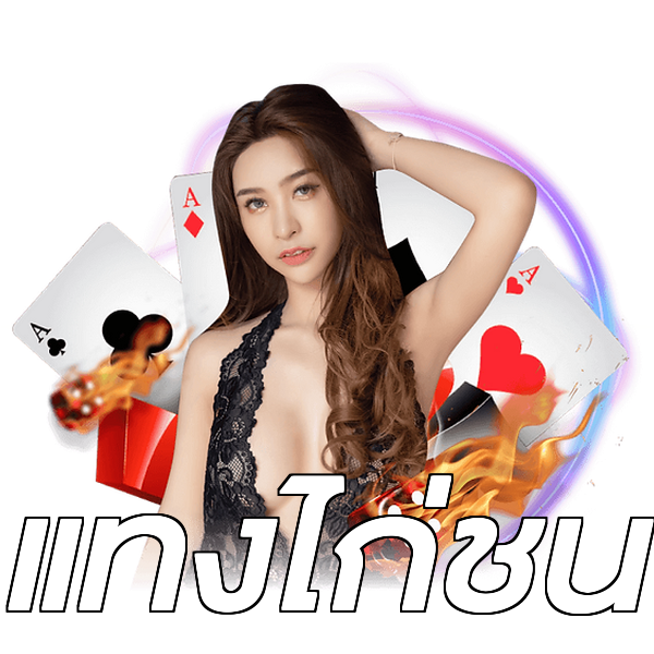 แทงไก่ชน